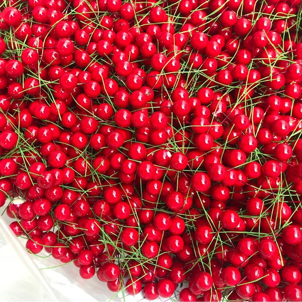 

10mm Simulation Small Red Fruit Small Cherry Small Fruit Red Fruit Christmas Fruit Peony Fruit Simulation Foam Fruit