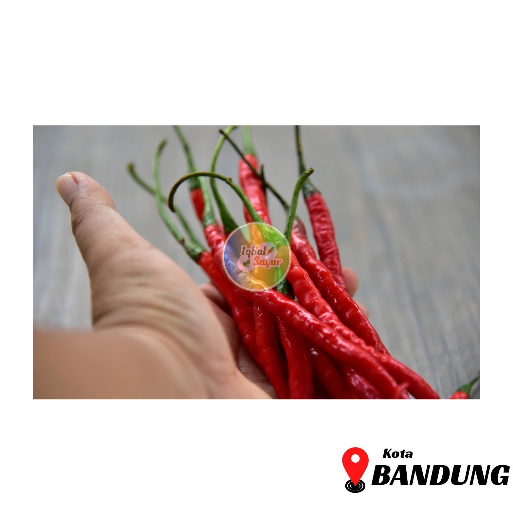 

Paket Cabe Kriting Merah Segar Bandung