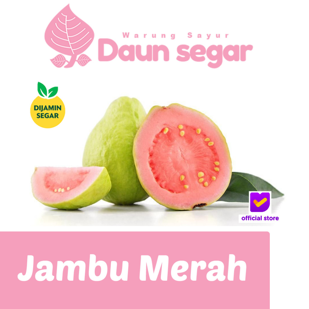 

Jambu Merah Manis Asli 1kg Jambu Biji Fresh, Cocok untuk Jus & Cemilan Sehat - Daunsegar