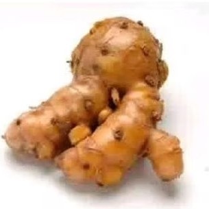 

Temulawak segar fres 1 kg . temulawak herbal untuk mengobati pradangan . fres