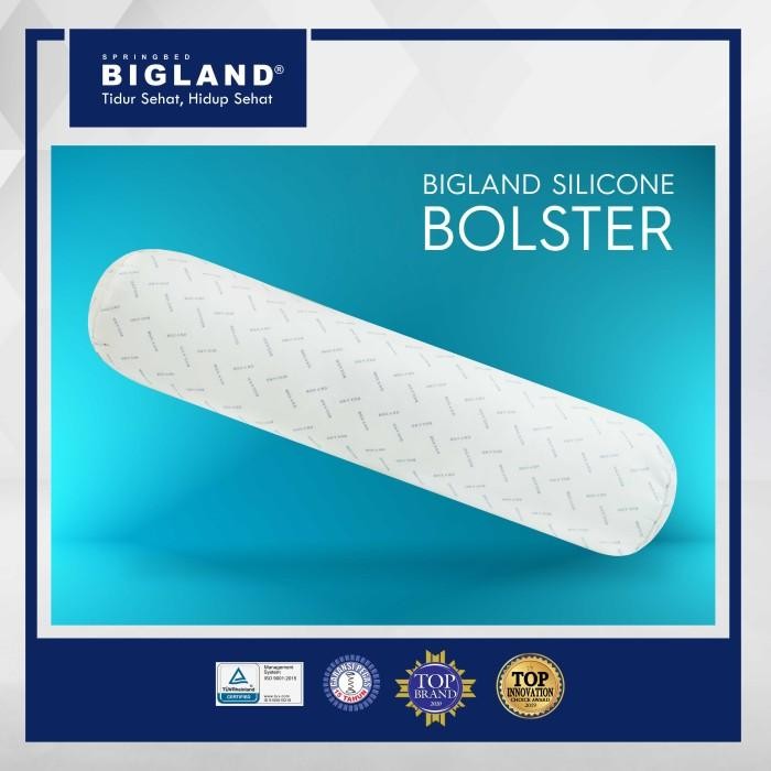 Bantal Guling Silicon Bigland