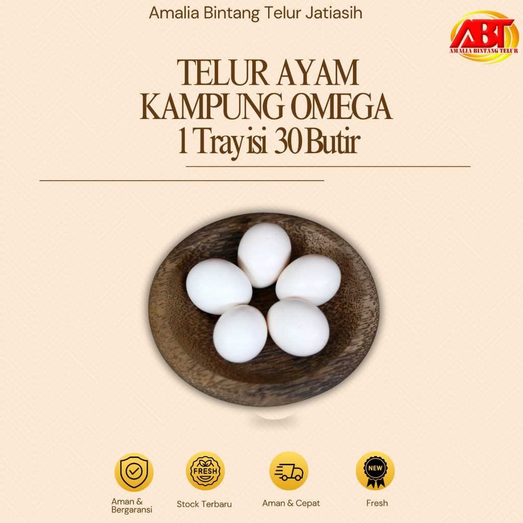 

ABT JATIASIH - Telur Ayam Kampung Omega 1 tray isi 30 Butir Lezat & Bergizi (FRESH-CEPAT-BERKUALITAS)