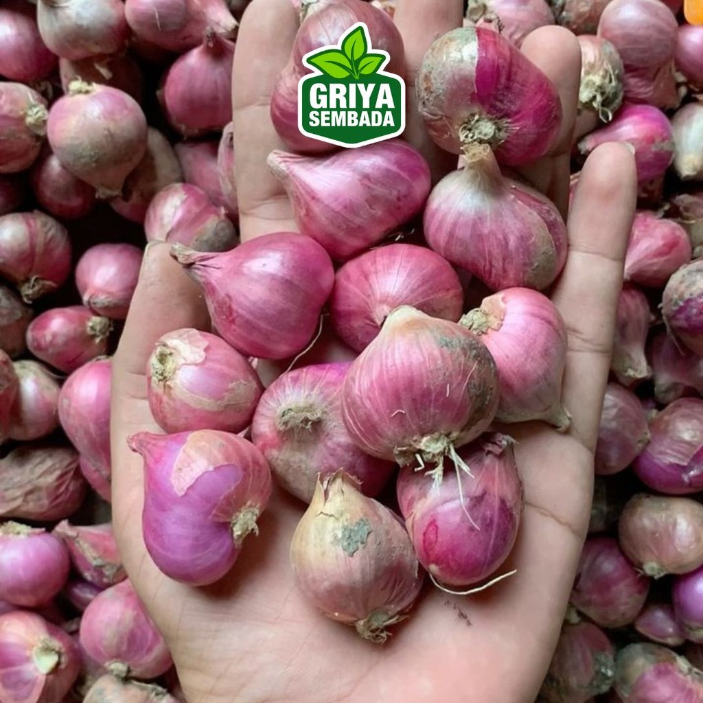 

Bawang Merah 100gr - Griya Sembada Kirim Instant /Sameday/Grabfood
