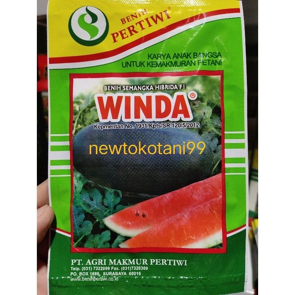 Benih semangka WINDA 20 gram semangka inul hibrida winda f1 20gr semangka merah winda dari benih per