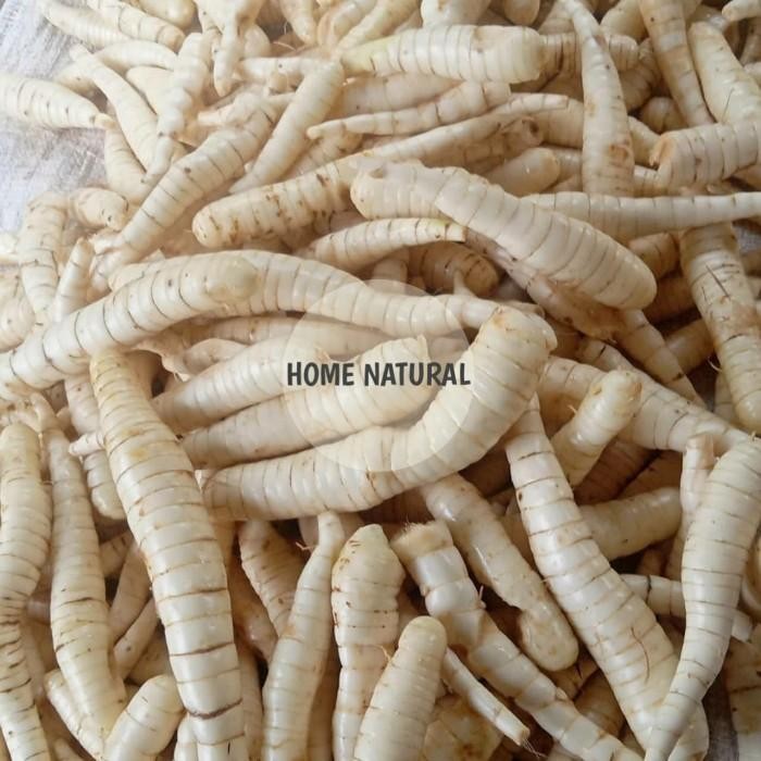 

Terlaris umbi garut segar murah 500 gram