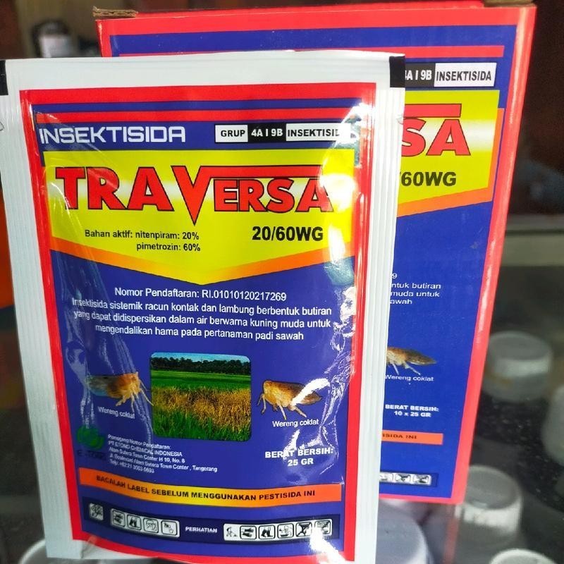 Insektisida wereng Traversa 25 gr Kebun Kebun