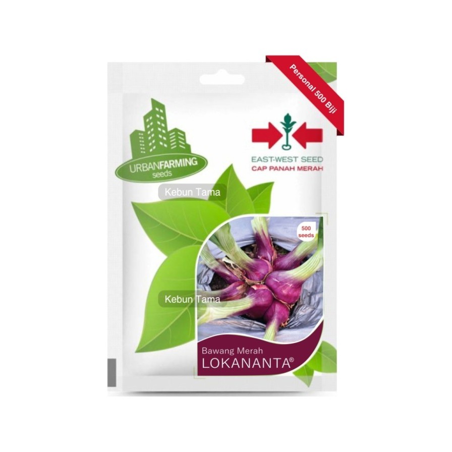 Benih Bibit Tanaman Bawang Merah Lokananta isi 500 Panah Merah