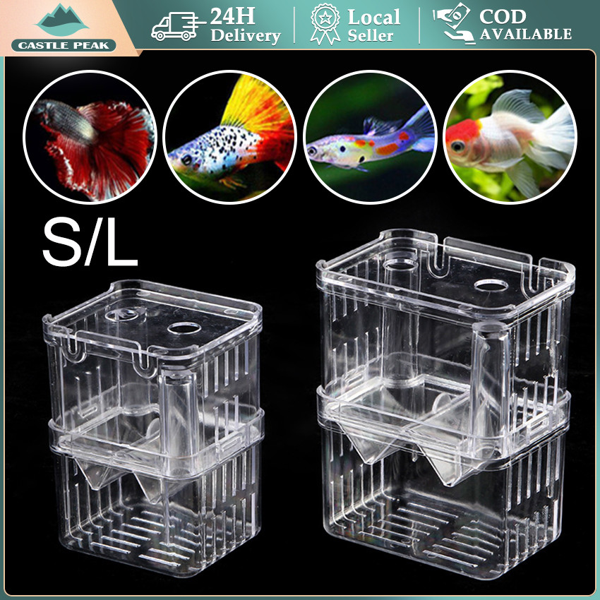 Breeding Box Internal Ikan Cupang Box Karantina Ikan / Isolation Box / Karantina ikan Guppy Molly