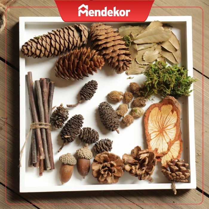 《BEST QUALITY》 Taraleng|daun kering hias properti foto hiasan aksesoris dekor vintage