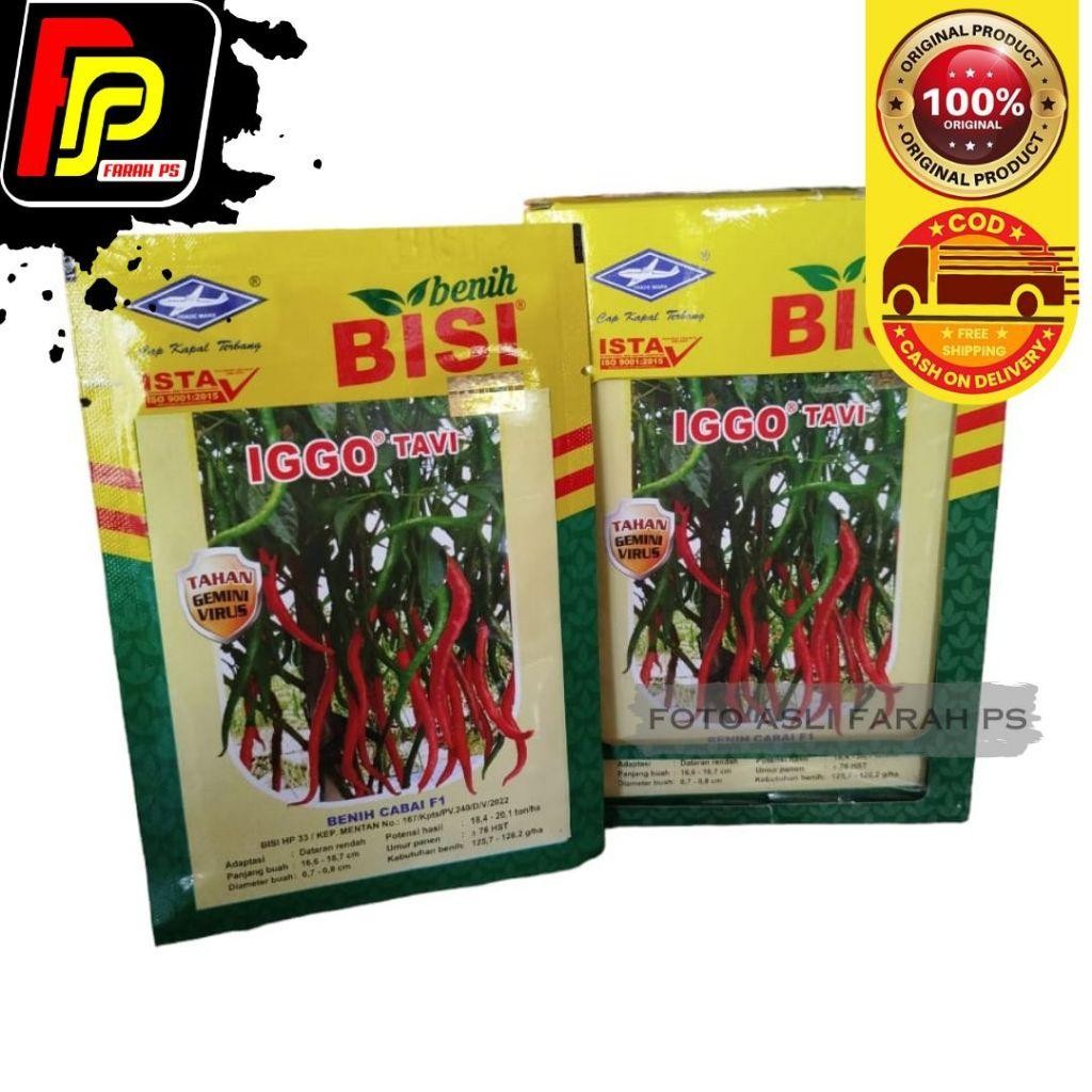 Benih Bibit Cabe Keriting Iggo Tavi F1 10 gram - Benih Cabe keriting Iggo Tavi Cap Kapal Terbang Bis