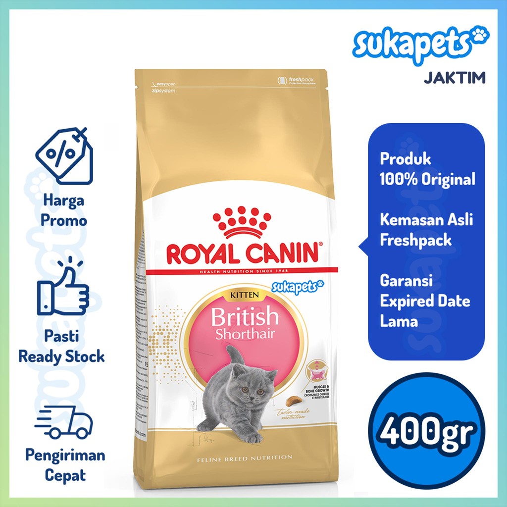 Makanan Kucing Kering untuk Anak Kucing British Shorthair 400gr