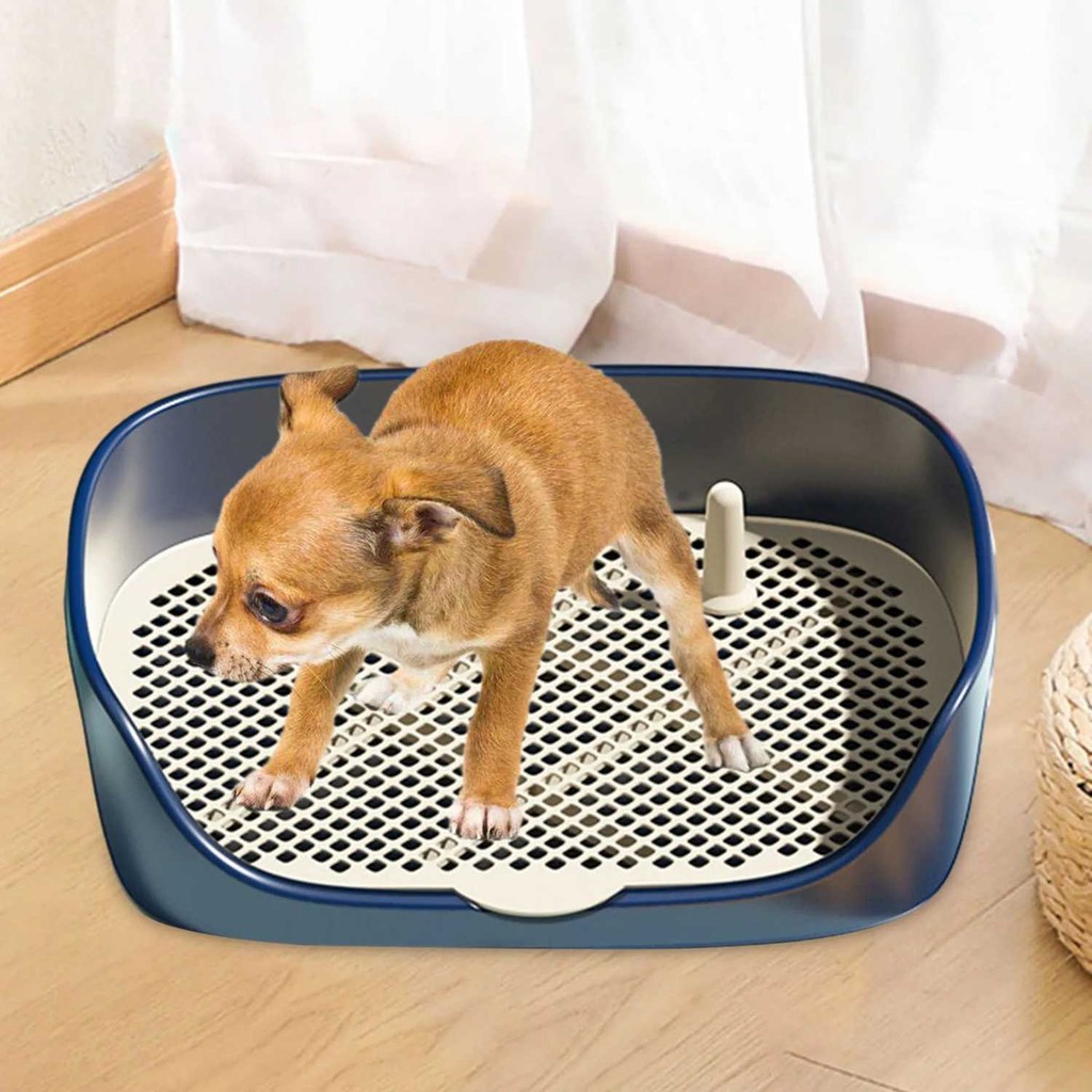 Digap Tempat Pipis Anjing Kucing Pet Training Potty Tray Detachable - BB-40