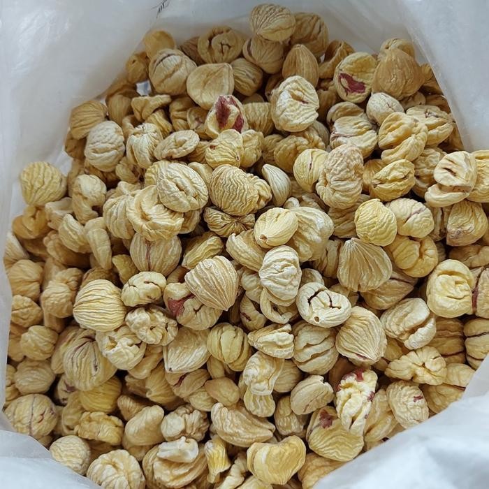 

Lakci Kacang Berangan 250gr / Kacang Chestnut Mentah Kering