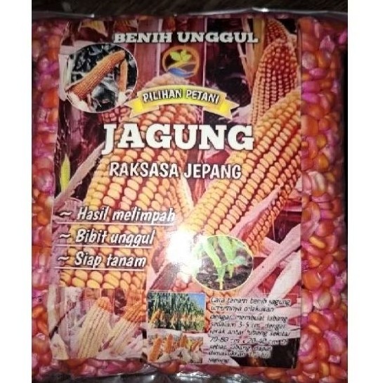 RIPACK! 1KG BIJI/BENIH JAGUNG RAKSASA JEPANG