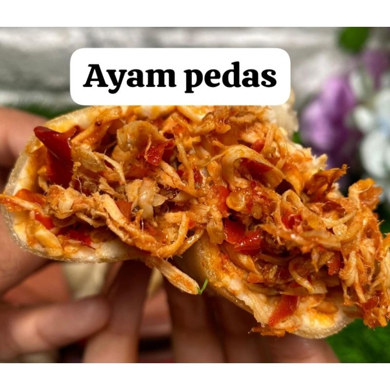 

Cireng Isi Ayam Suwir PedaS Isi 6