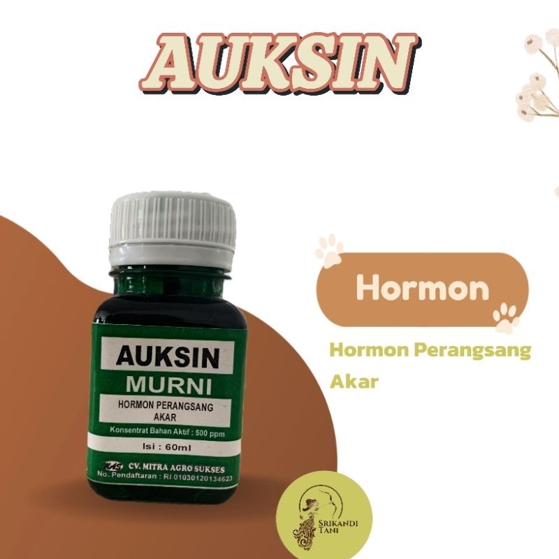 Auksin Hormon Perangsang akar 60ml Auxin murni