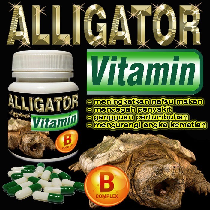 ALLIGATOR VITAMIN OBAT KAPSUL MENCEGAH PENYAKIT KURA-KURA AIR ALIGATOR SNAPPING TURTLE AST CST MENAM