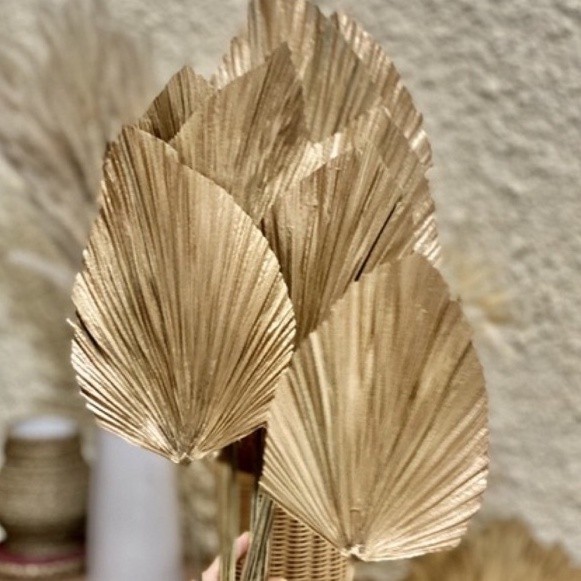 DAUN PALEM JUMBO 35 CM Daun Palem Kering TEBAL Emas Gold Natural  Dried Flower Palem Dekorasi Rustic