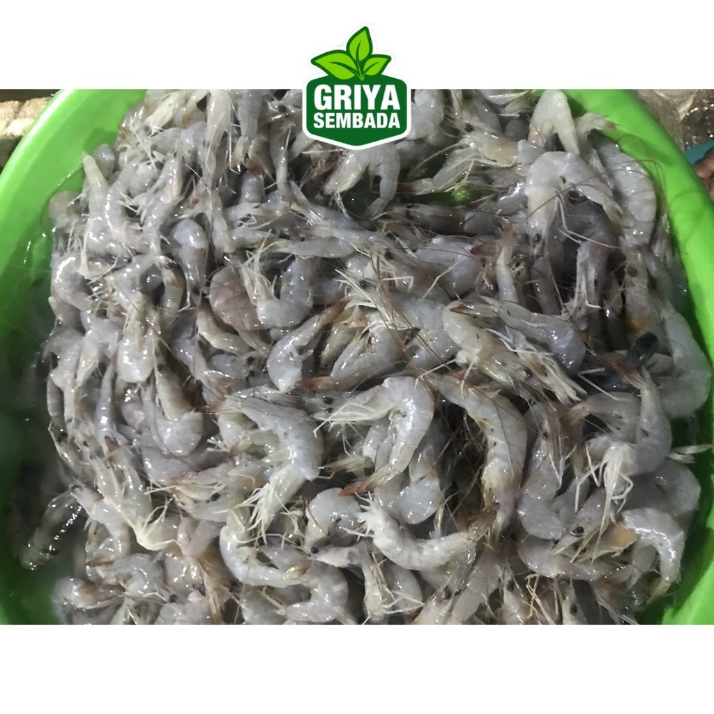 

Udang Peci Halus Segar Griya Sembada