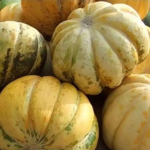 

300biji BENIH BLEWAH BISMA MANIS MADU READY!! MURAH!!