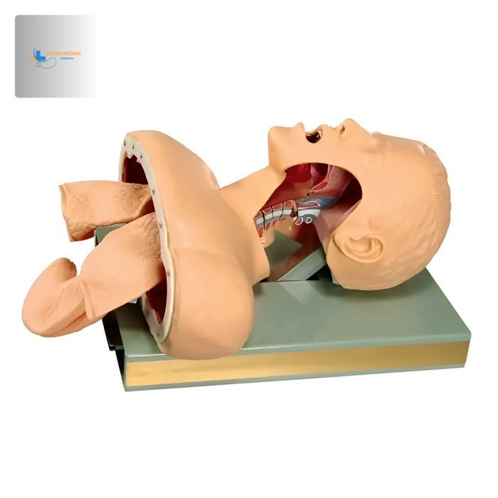 Phantom manekin inturbasi simulator
