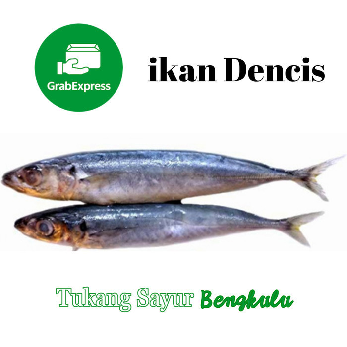 

ikan dencis sarden 500gram Grab instan Tukang Sayur Bengkulu