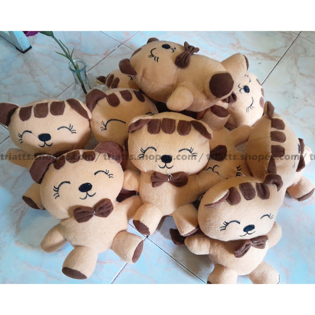 Boneka Teddy Bear Ukuran Sedang 22cm / Boneka Bucket Wisuda Hadiah / Mainan Lucu Buket Viral