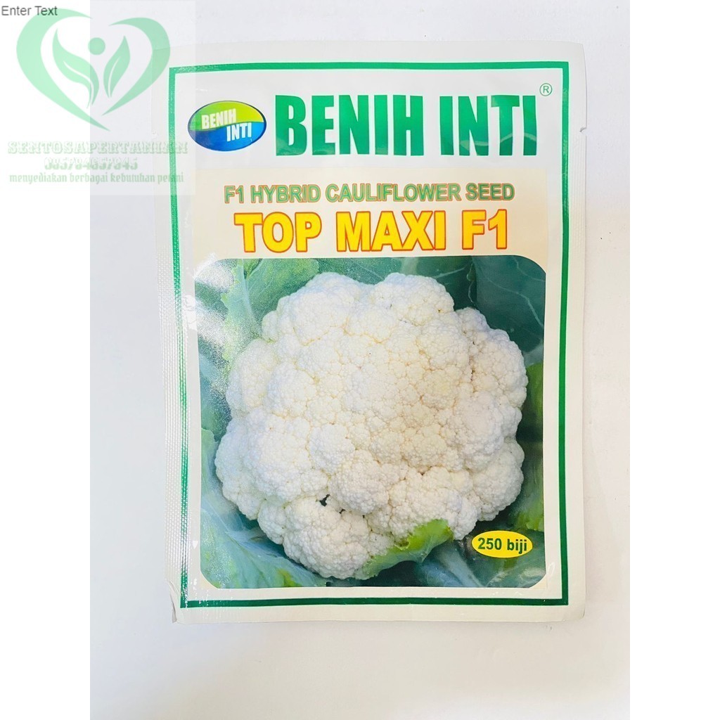 PRODUK TERLARISS Benih cauliflower F1 TOP MAXI isi 250 biji dari PT DINASTY INTI AGRO