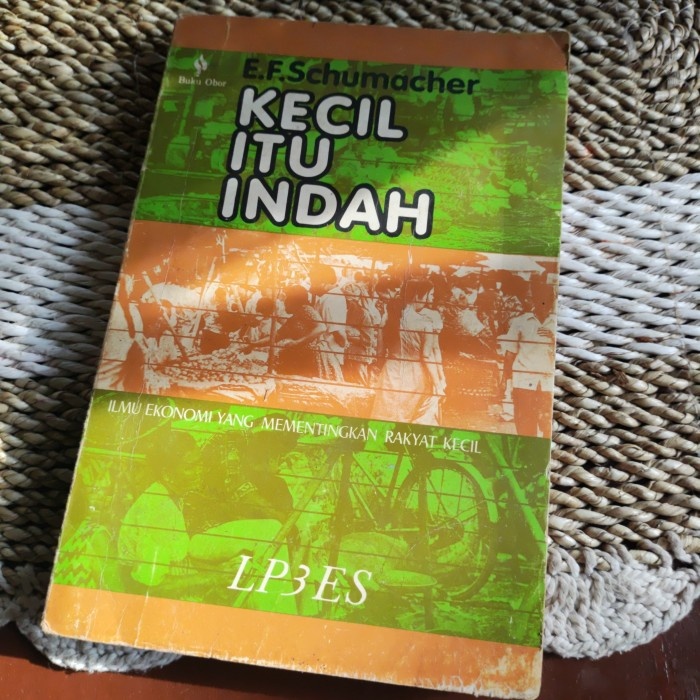 KECIL ITU INDAH - E.F SCHUMACER original