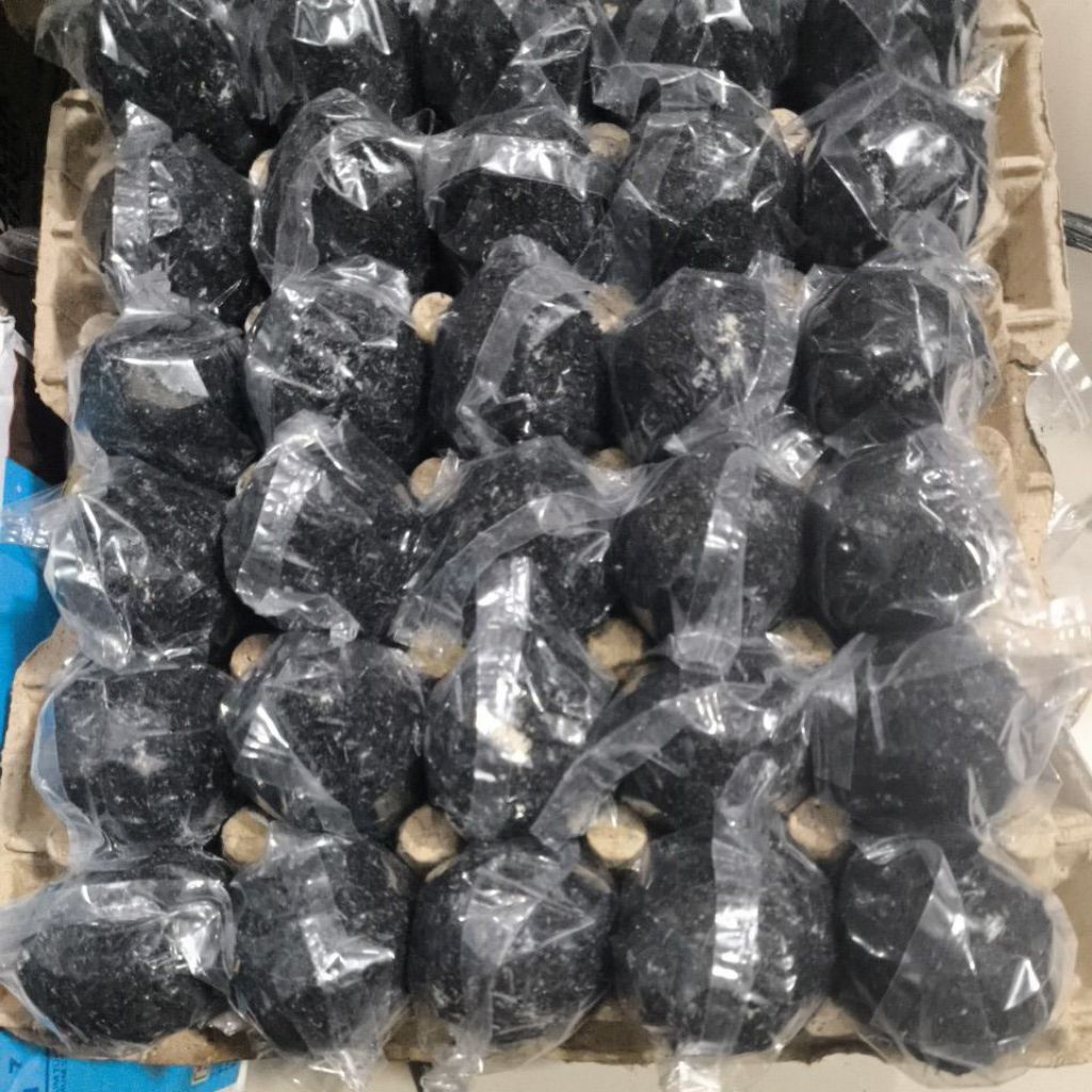 

Telur bebek asin per papan isi 30 butir