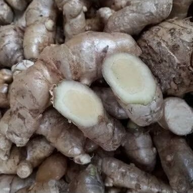 

Kunyit putih segar 1 kg fresh segar / bersih / Temu putih di ambil langsung dari kebun