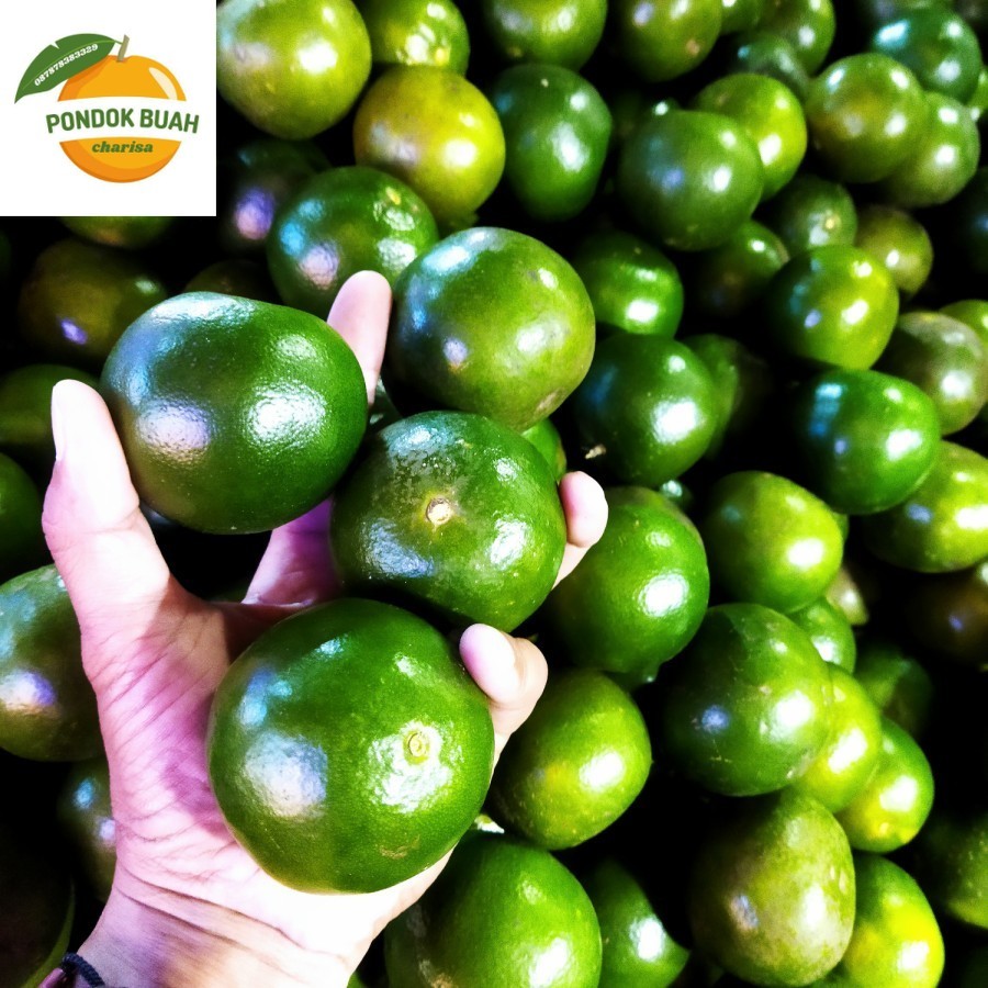 

JERUK PERAS PONTIANAK SEGAR ORIGINAL 1KG