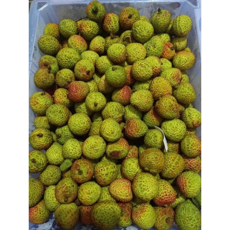 

LECI LYCHEE MADU IJO HIJAU [RUMAH BUAH] BEST SELLER