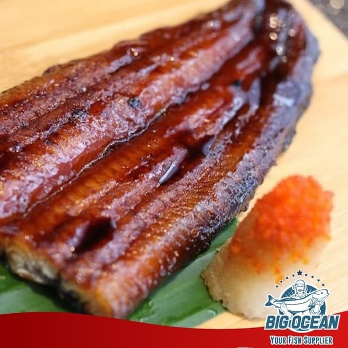 

Unagi Kabayaki / Ikan Sidat @200gr |Premium Quality (Halal)