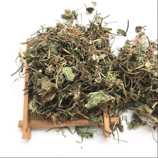 

Daun Pegagan Asli Antanan Kering Original Herbal 100 Gram