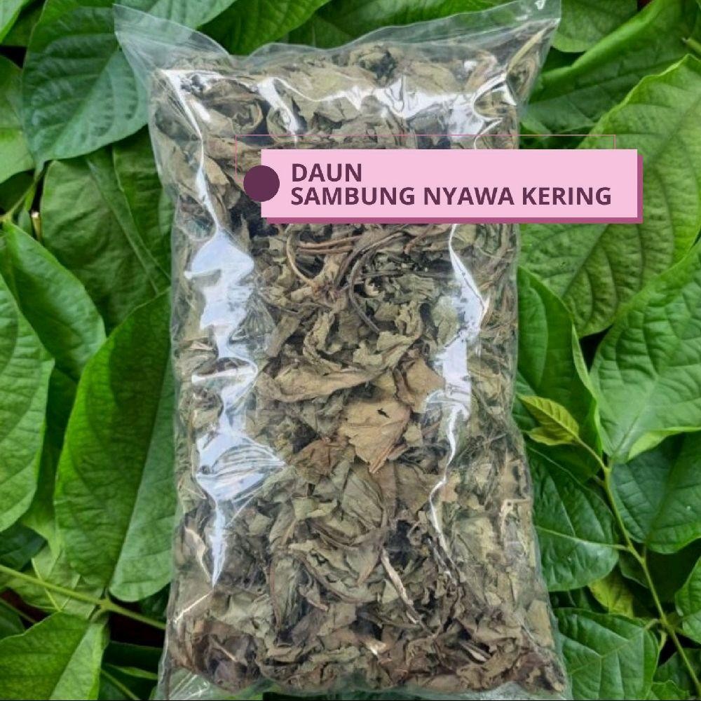 

Daun Sambung Nyawa Asli Kering 250 gram (Murni Daun)