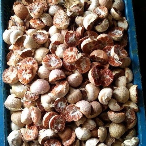 

Pinang Kering Jambe Kering Kualitas Bagus 1kg