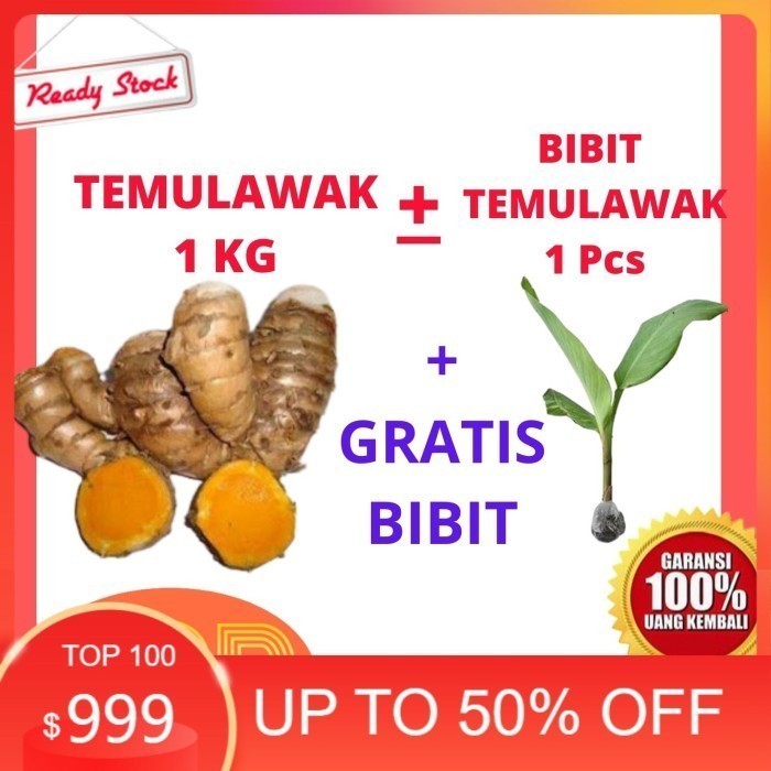 

Temulawak segar 1 kg