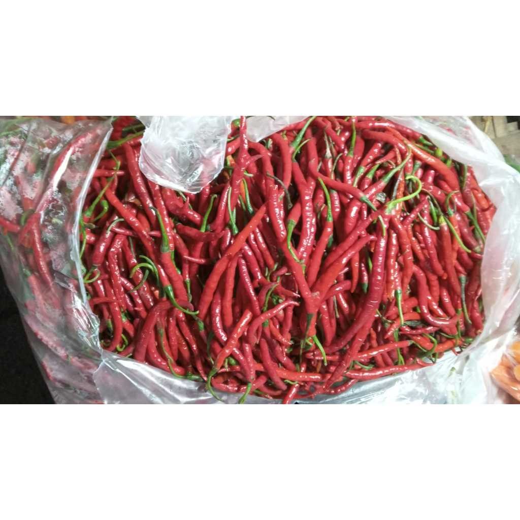 

Paket Cabe Merah Keriting 1 kg Murah Meriah