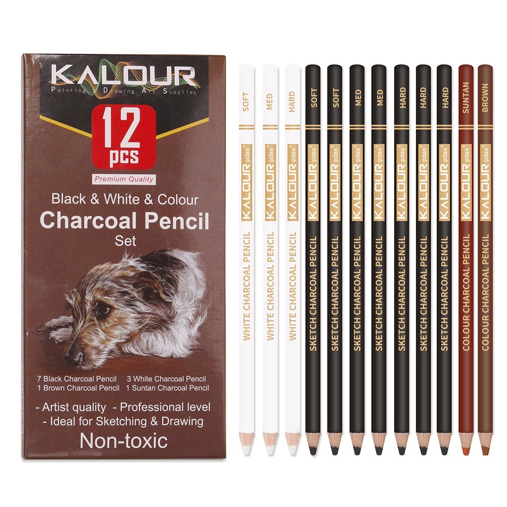

KALOUR Colored Charcoal Pencils Set, Professional 6/12 Pcs Pastel Chalk Drawing Kit for Sketching Shading Blending Portrait Art