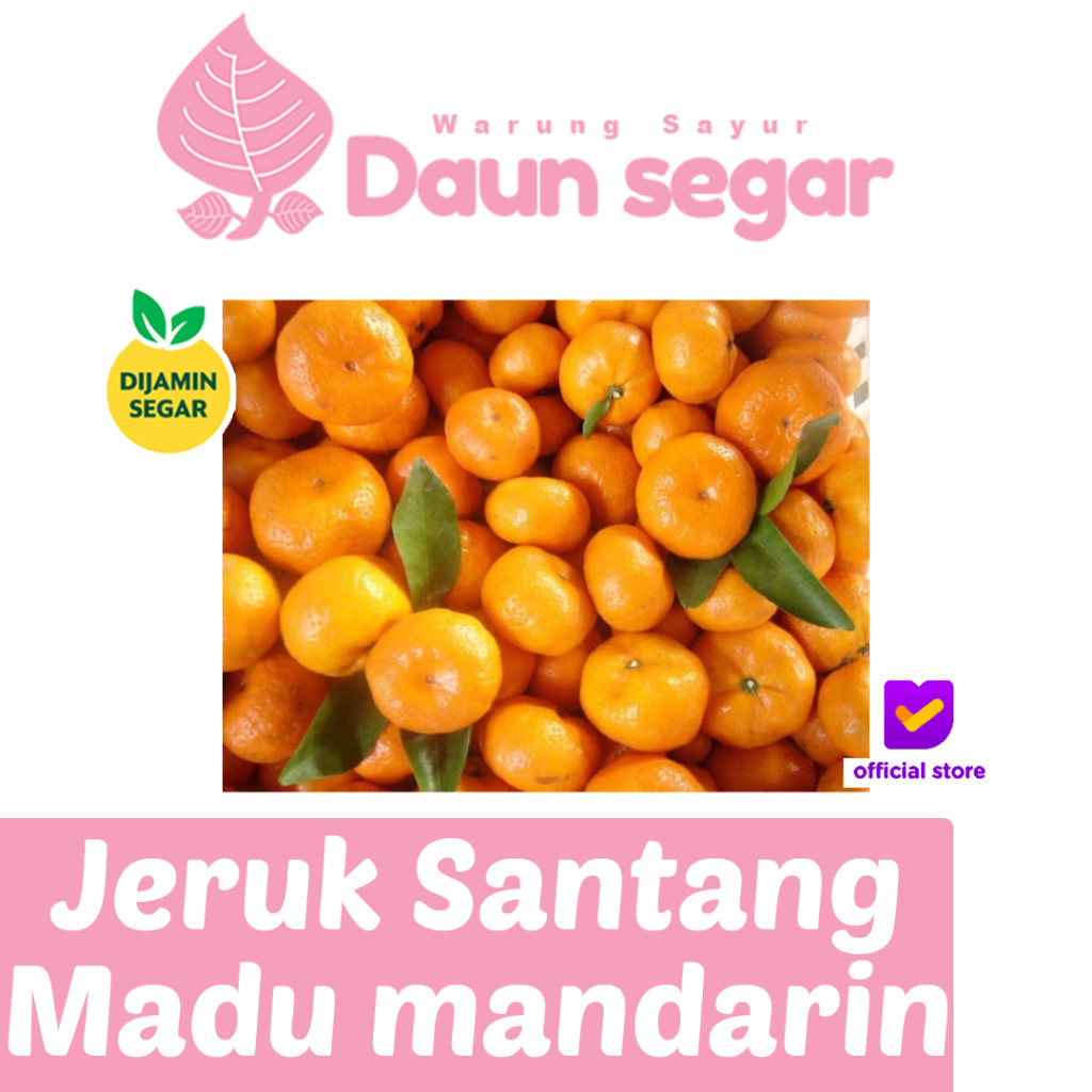 

Jeruk Santang Madu Manis 1kg Kulit Tipis, Daging Tebal & Super Segar - Daunsegar