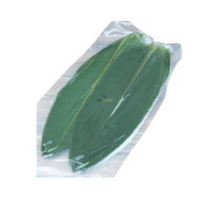 

Promo 100pcs Daun Bambu Segar Lebar 10-15cm