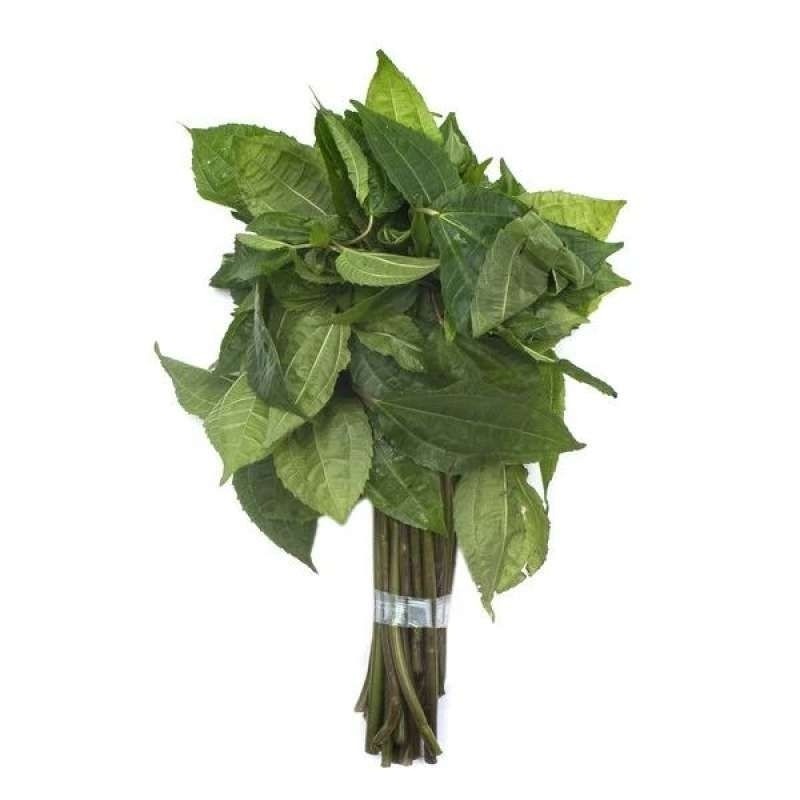 

(250 gram) Termurah Lalapan Daun Poh Pohan / Daun Pohon Pohpohan Organik