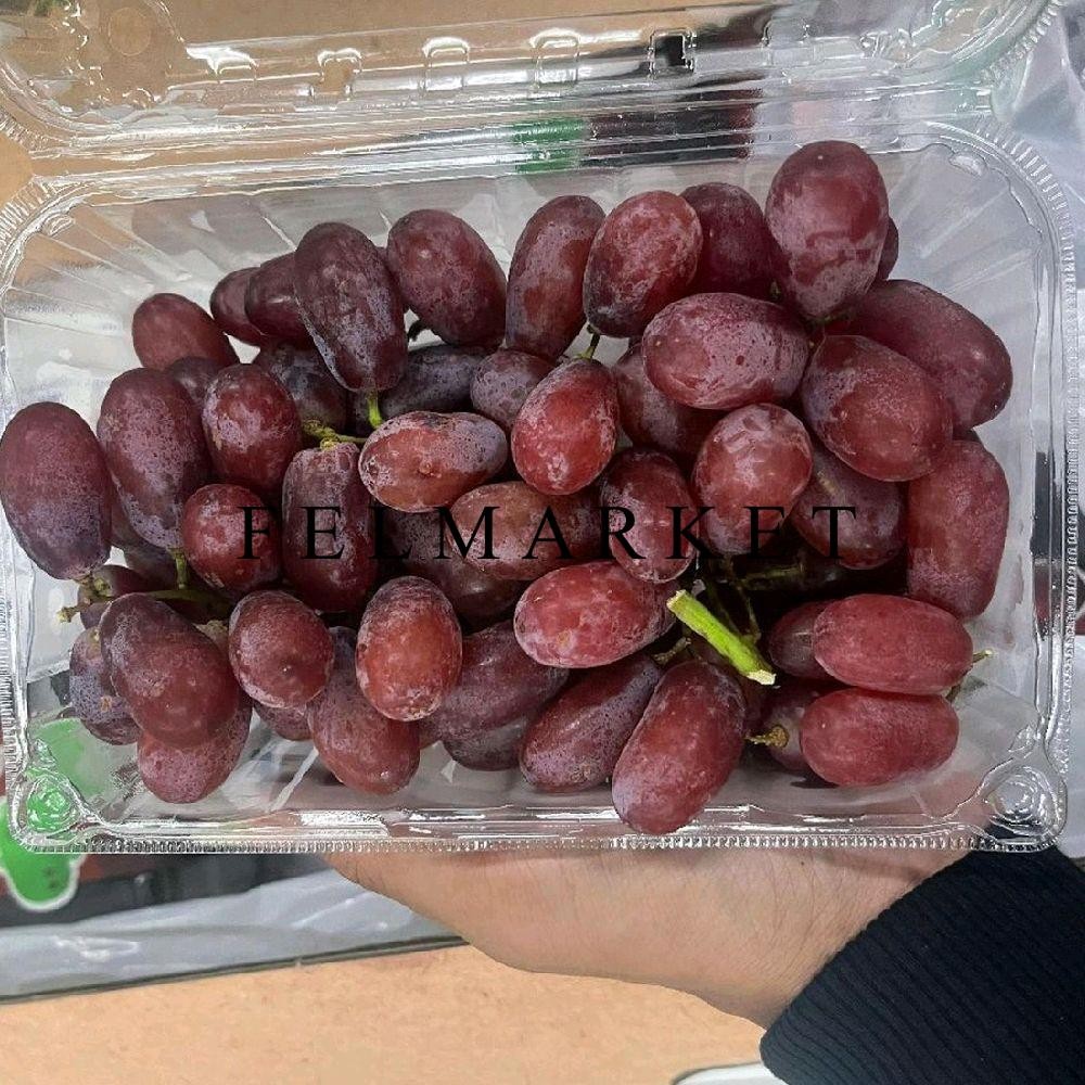 

Buah Anggur Ruby Gem Fresh / Anggur Ruby / Pack