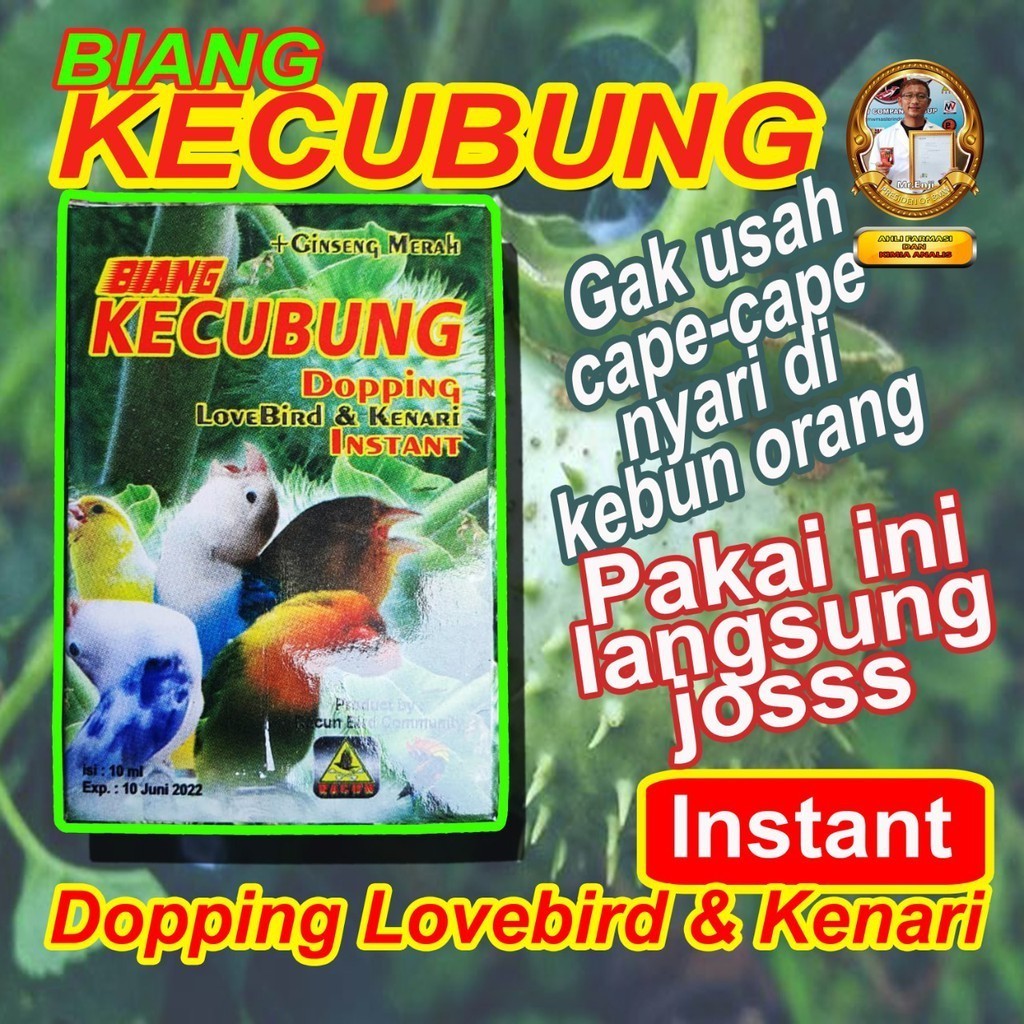 Biang kecubung Plus Ginseng Merah solusi instan untuk doping burung Lovebird dan Kenari