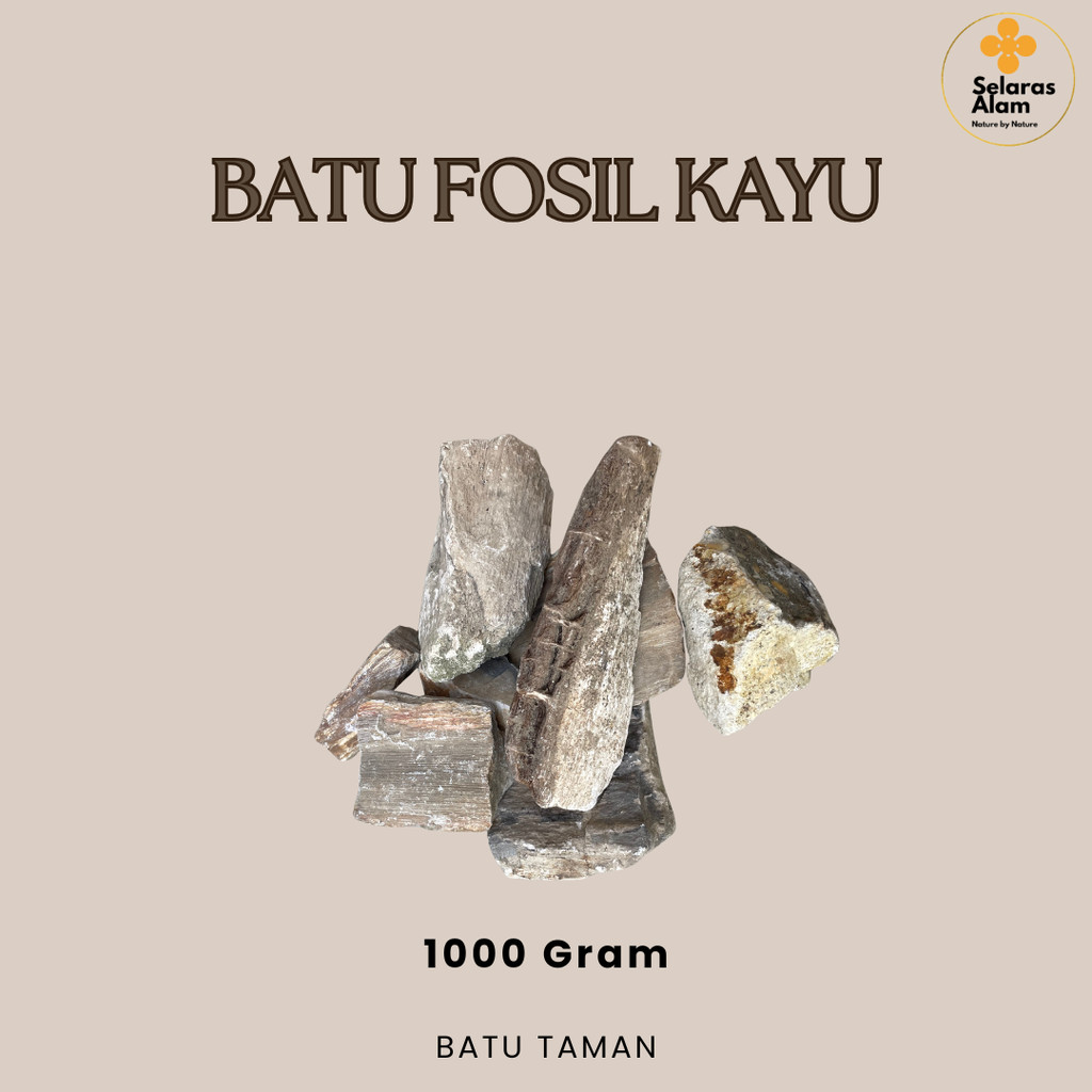 BATU FOSIL KAYU TAMAN AKUARIUM BENTUK BERVARIASI-1000 GRAM