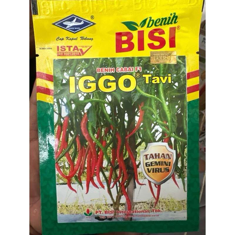 bundling terong peince dan Benih CABE KERITING IGGO TAVI F1 - 10 GRAM Cabai Cap Kapal Terbang