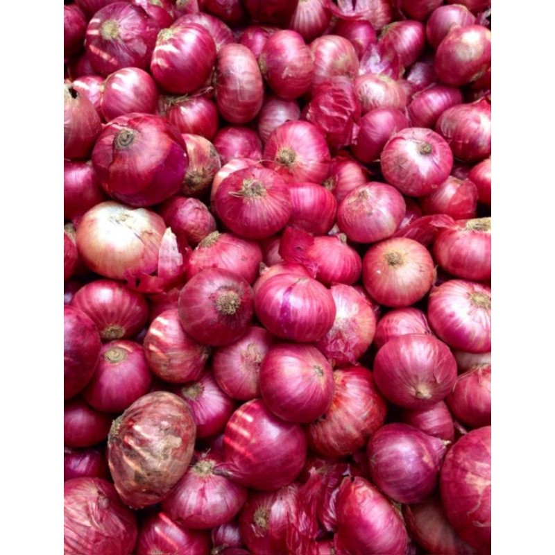 

bawang peking/bawang india 1.kg