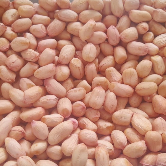 

Kacang Tanah Super 1 kg