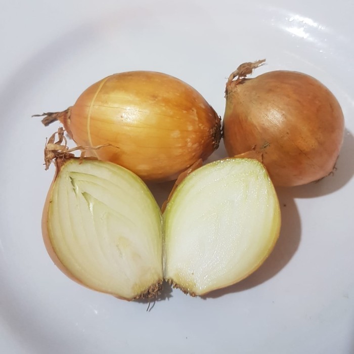 

Bawang Bombay 250 gram Bumbu Sayuran Segar Bombai 250g (Beli banyak lebih murah)